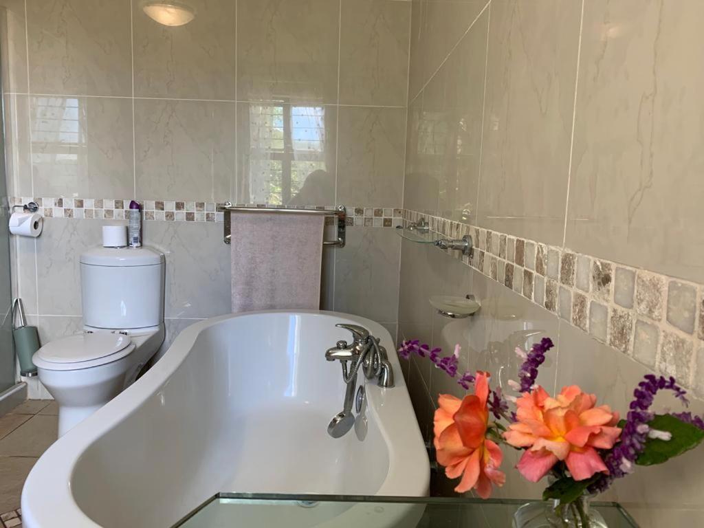 Mountain Rose Guesthouse Louis Trichardt Luaran gambar